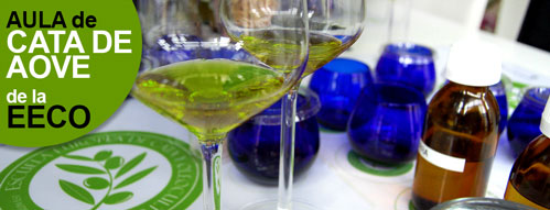 Curso de Iniciación a la Cata de Aceite de Oliva Virgen Extra
