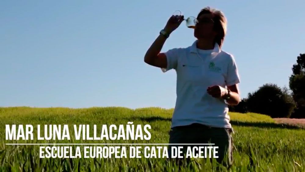 Nuevo vídeo promocional de la Escuela Europea de Cata-Escuela del Aceite