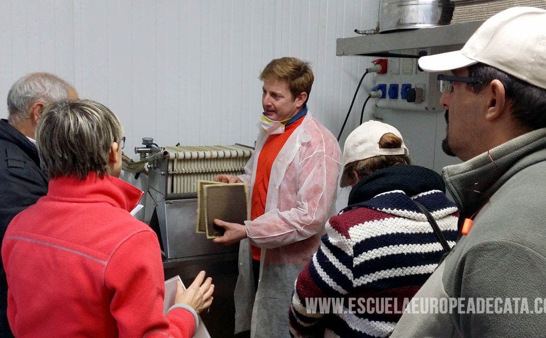 Una Navidad olivarera elaborando AOVE con los alumnos