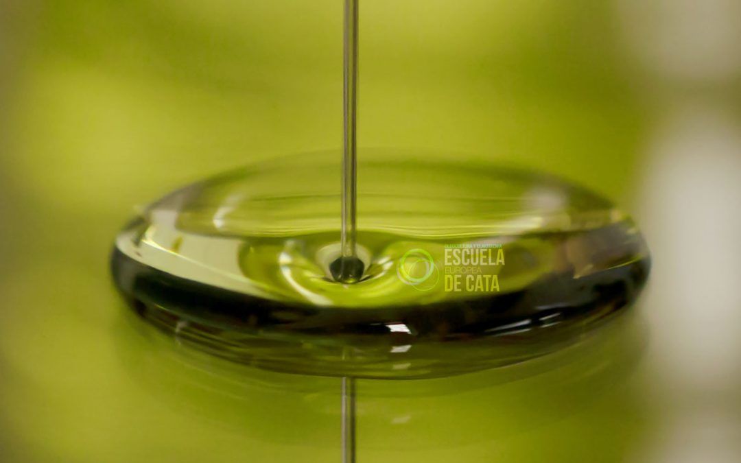 Cinco (de las muchas) razones para consumir aceite de oliva virgen extra