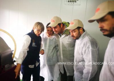 cursomaestrodealmazara_elaboracion-de-aove