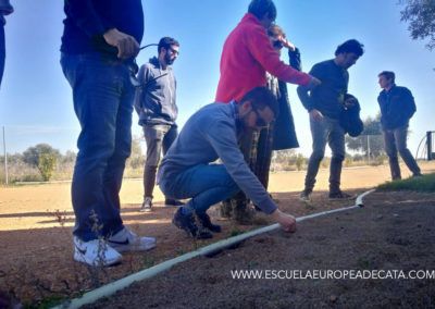 curso-maestro-de-almazara