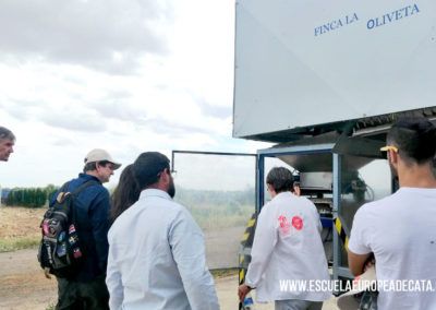 curso-maestro-de-almazara-mayo-2019