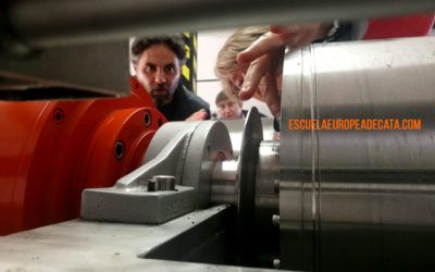 Nuevos Maestros de Almazara de la Escuela Europea de Cata