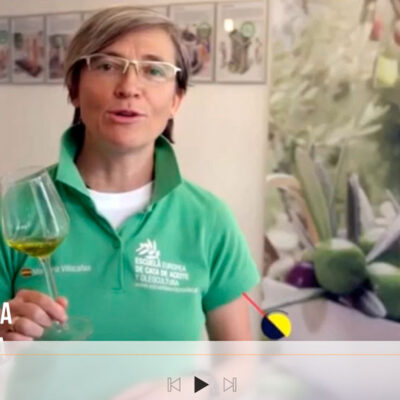 cursos de cata de aceites de oliva online nio directo