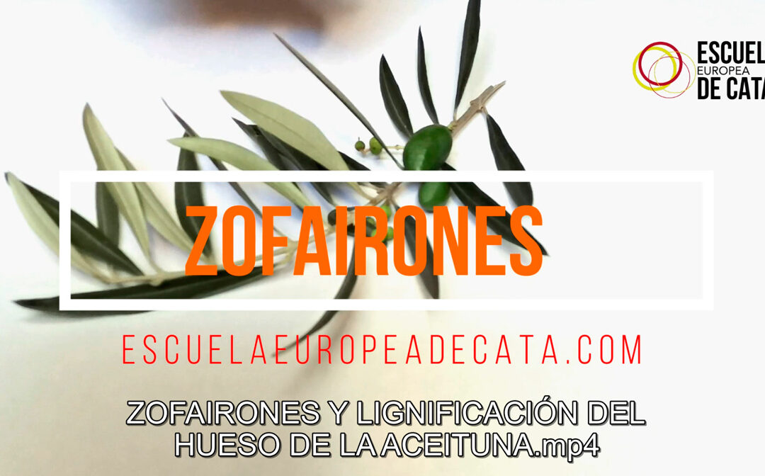 ZOFAIRONES Y LIGNIFICACIÓN DEL HUESO DE LA ACEITUNA