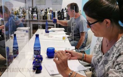 Nivel 2A, 2B y Sumiller del AOVE septiembre 2020