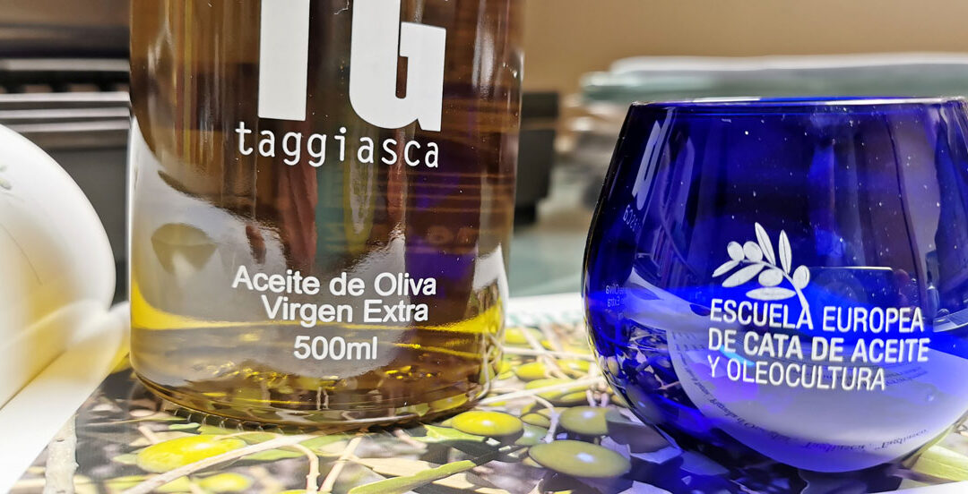 Conociendo mejor la variedad de aceituna Taggiasca