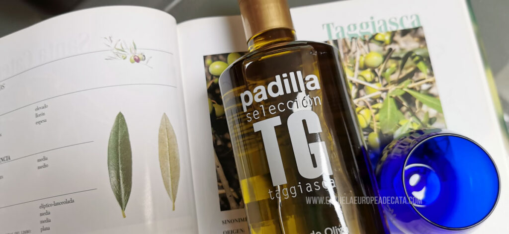 taggiasca_escuelaeuropeadecata_aove