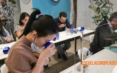Experiencias alrededor del A.O.V.E.