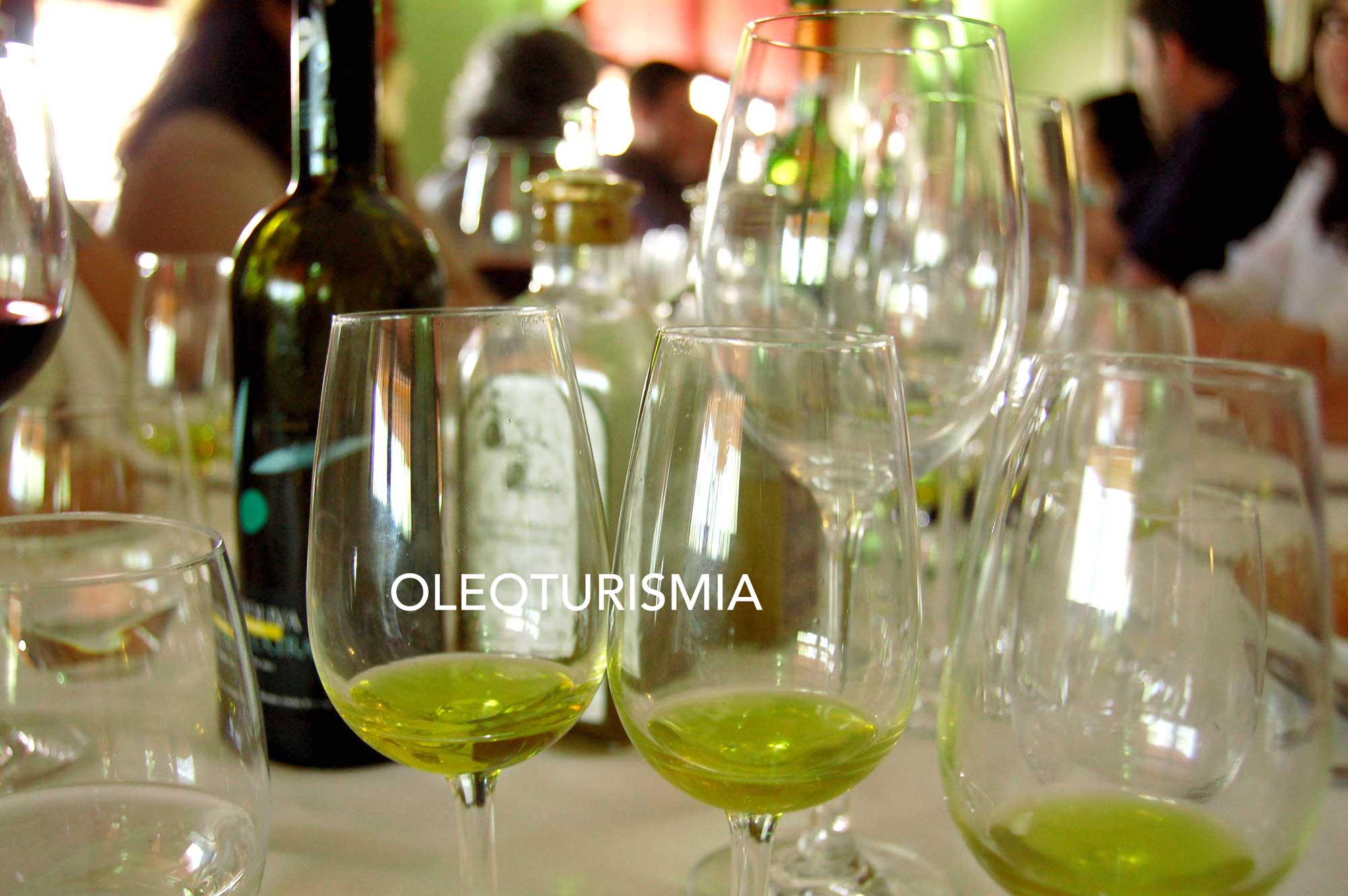 OLEOTURISMO-COMO-NEGOCIO2 OLEOTURISMO-COMO-NEGOCIO