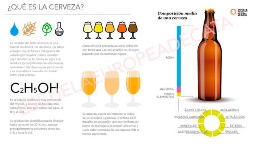 QuE-es-la-cerveza_ESCUELAEUROPEADECATA