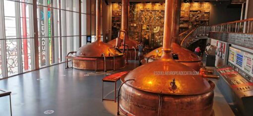 MUSEOESTRELLAGALICIA_ESCUELAEUROPEADECATA