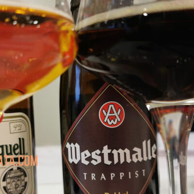 Curso Nivel PRO ONLINE Cata de Cerveza. A TU AIRE