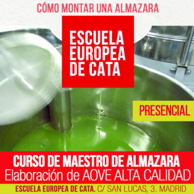 cómo montar una almazara, curso maestro de almazara
