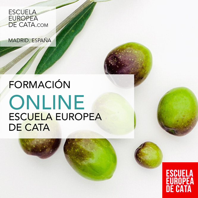 cursos de cata de aceites de oliva online