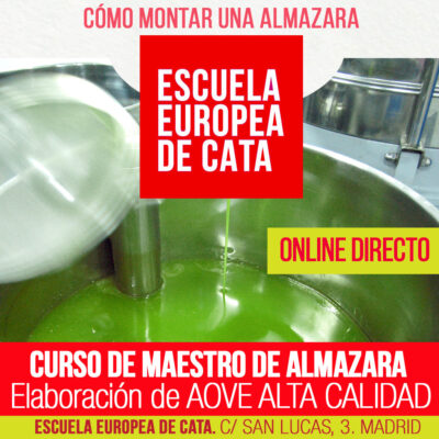 curso-maestro-de-almazara_ONLINE