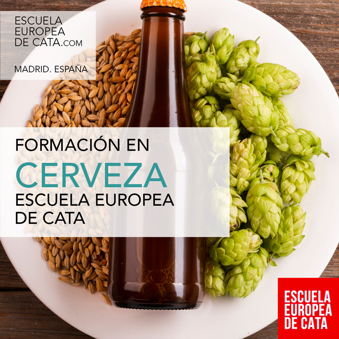 cursos cata de cerveza