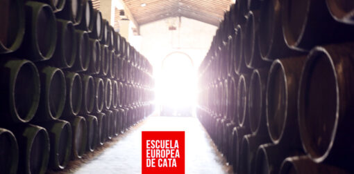 mar-luna-en-marco-de-jerez-y-san-lucar-de-barramedaescuelaeuropeadecata