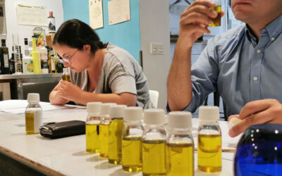 La felicidad de compartir saber alrededor de los Aceites de Oliva
