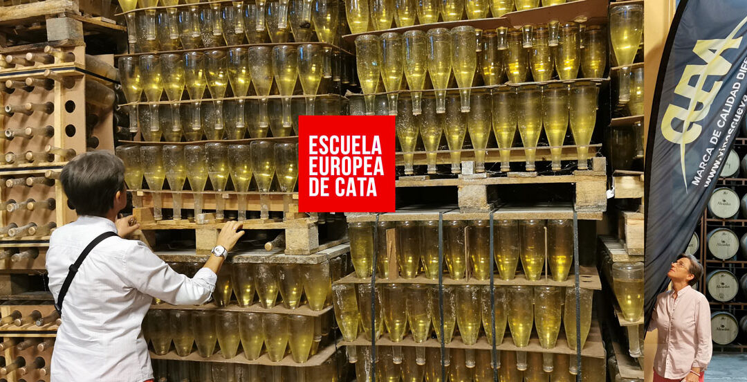 vinos-de-cueva_espumosos_bodegasalcardet