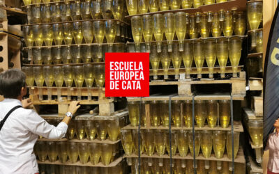 Vinos “Cueva”, una marca de calidad muy poco conocida