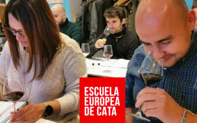 Curso Nivel 1 Cata de Vinos Tintos