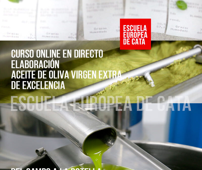 CURSO-ELABORACION-ACEITE-DE-OLIVA-VIRGEN-EXTRA