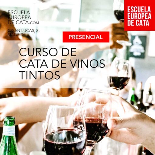 CURSO CATA VINOS TINTOS