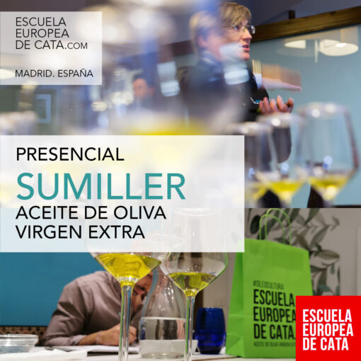 curso-presencial-sumiller-aove