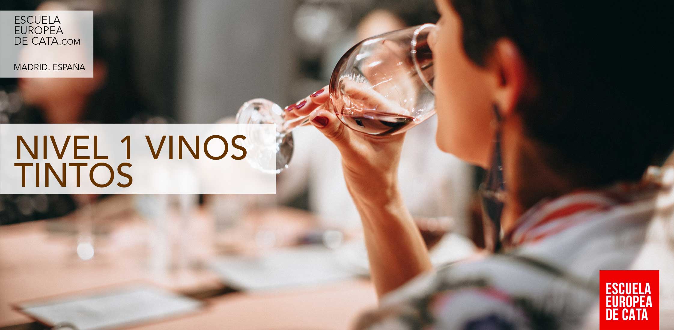 Curso cata de vino