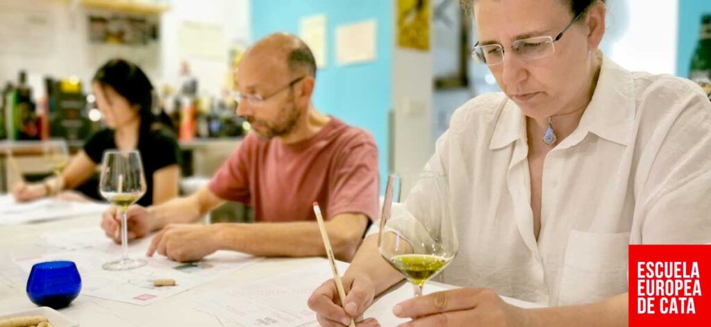 nivel 2a y 2b cata de aceites de oliva agosto 2023