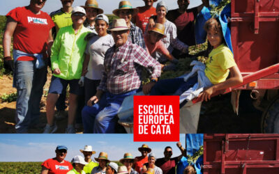 Vendimia tradicional con la familia «Fandingues»