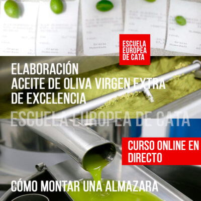 CURSO-ELABORACION-ACEITE-DE-OLIVA-VIRGEN-EXTRA-ONLINE-DIRECTO MAESTRO DE ALMAZARA