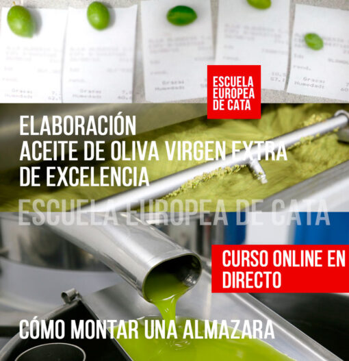 CURSO-ELABORACION-ACEITE-DE-OLIVA-VIRGEN-EXTRA-ONLINE-DIRECTO MAESTRO DE ALMAZARA