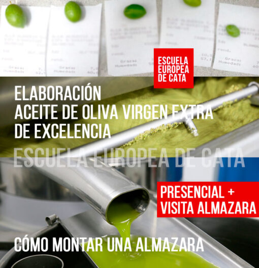 CURSO-ELABORACION-ACEITE-DE-OLIVA-VIRGEN-EXTRA-PRESENCIAL