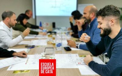 Cursos de Cata de Aceites de Oliva para empresas