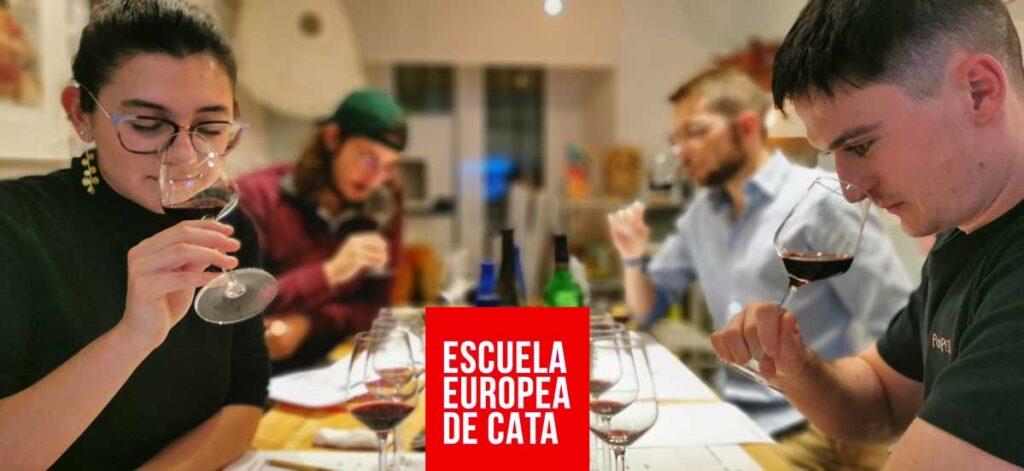 Curso-vino-tinto-26-enero-2024