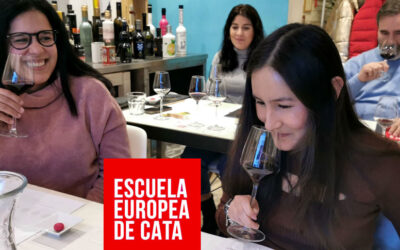 Curso Cata Vinos Tintos 8 marzo: Así ha sido