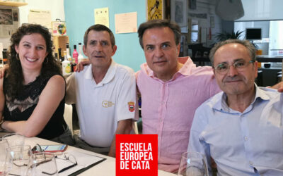 Cursos de vinos tintos y aceites de oliva de julio