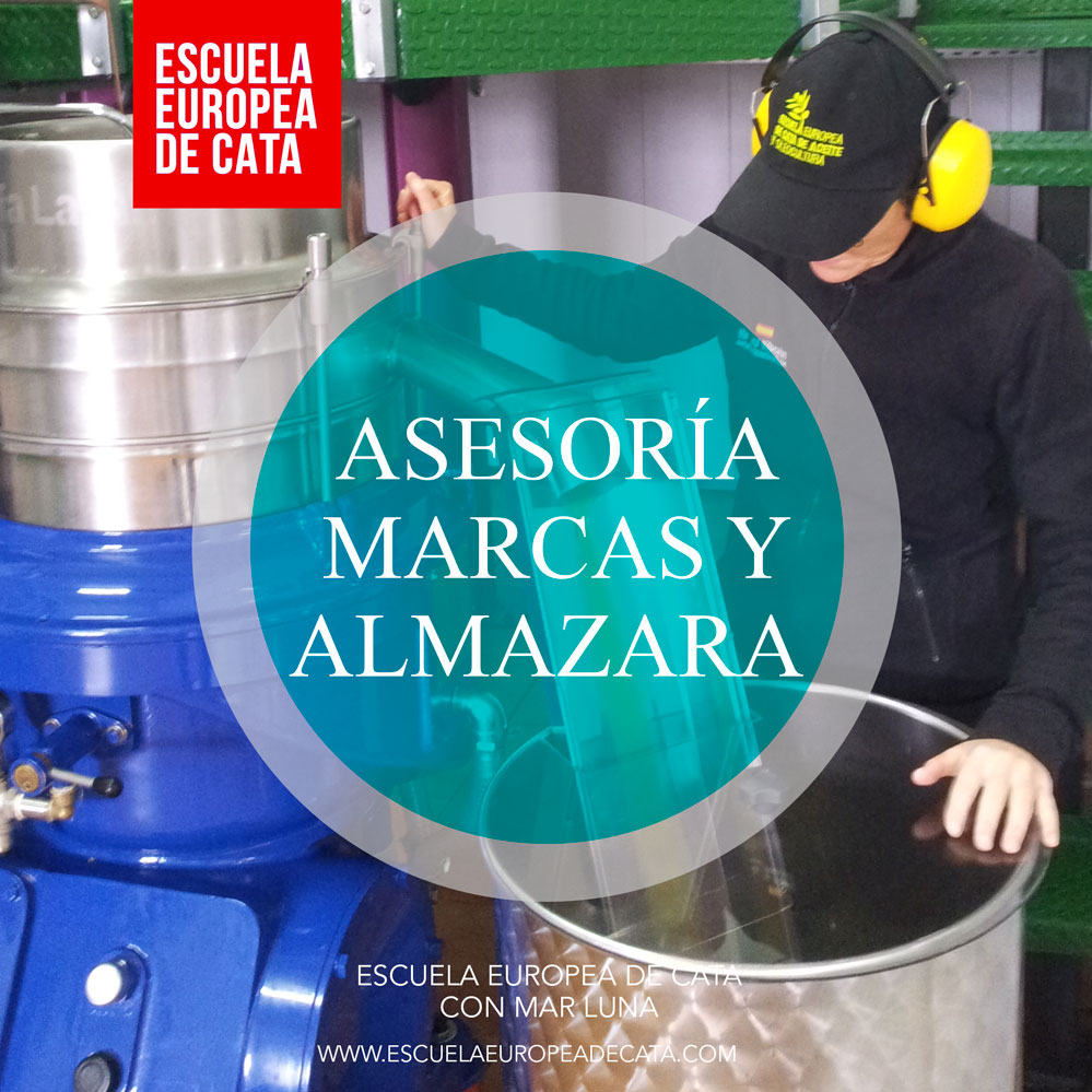QUIERO MONTAR UNA ALMAZARA Y QUIERO TENER MI MARCA DE ACEITE