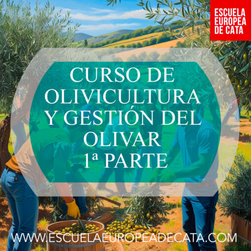 CURSO DE OLIVICULTURA Y GESTIÓN DEL OLIVAR . 1ª PARTE