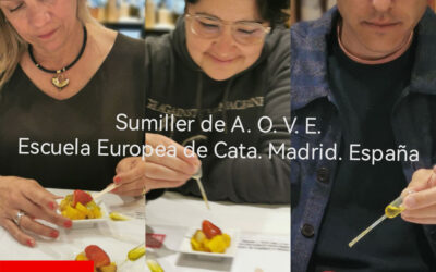 Curso Sumiller del A.O.V.E.: Así ha sido