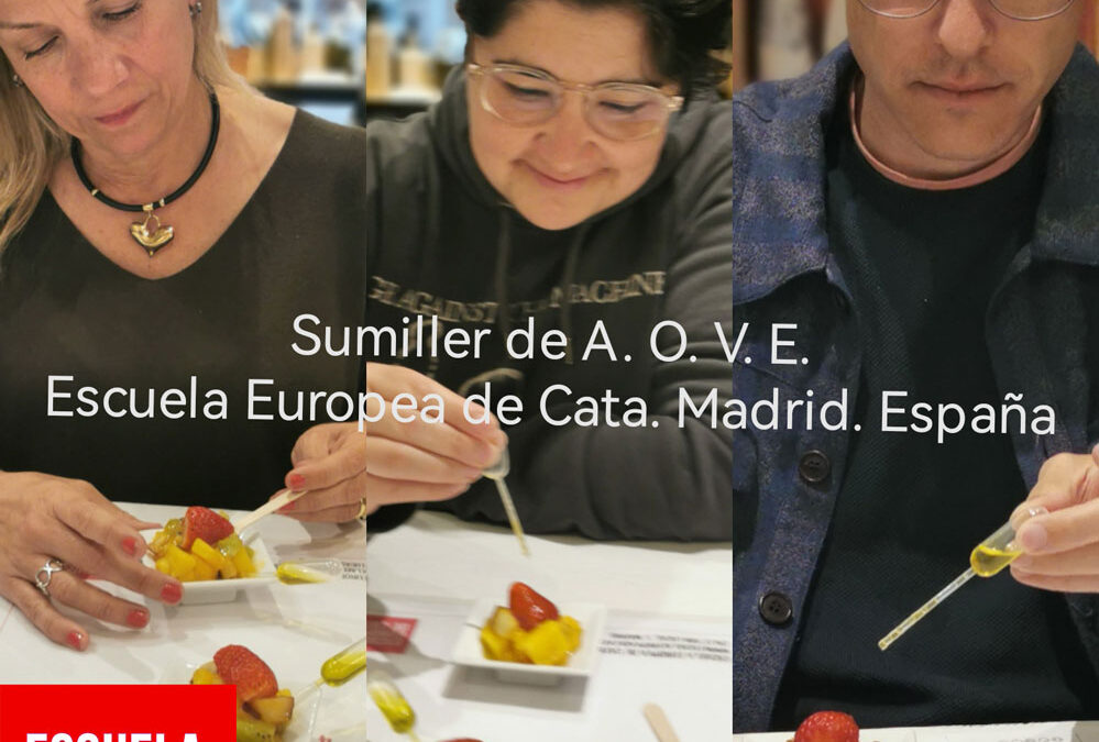 Curso Sumiller del A.O.V.E.: Así ha sido