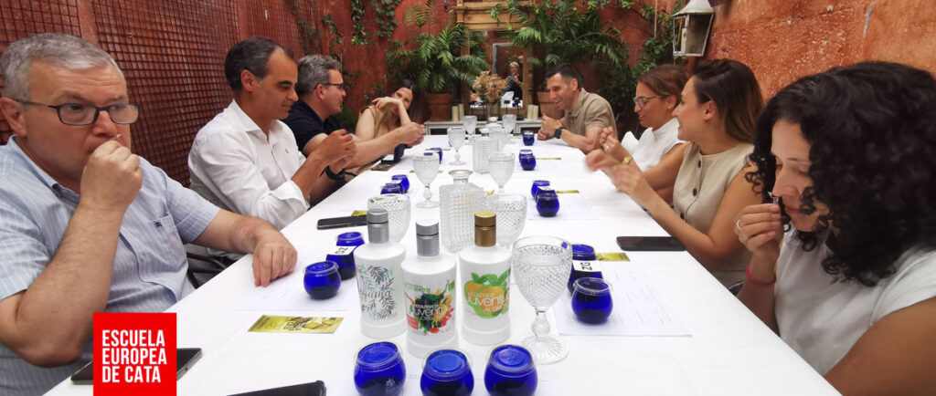 evento-cata-aceites-de-oliva-empresa-zg-1-julio-2025_4