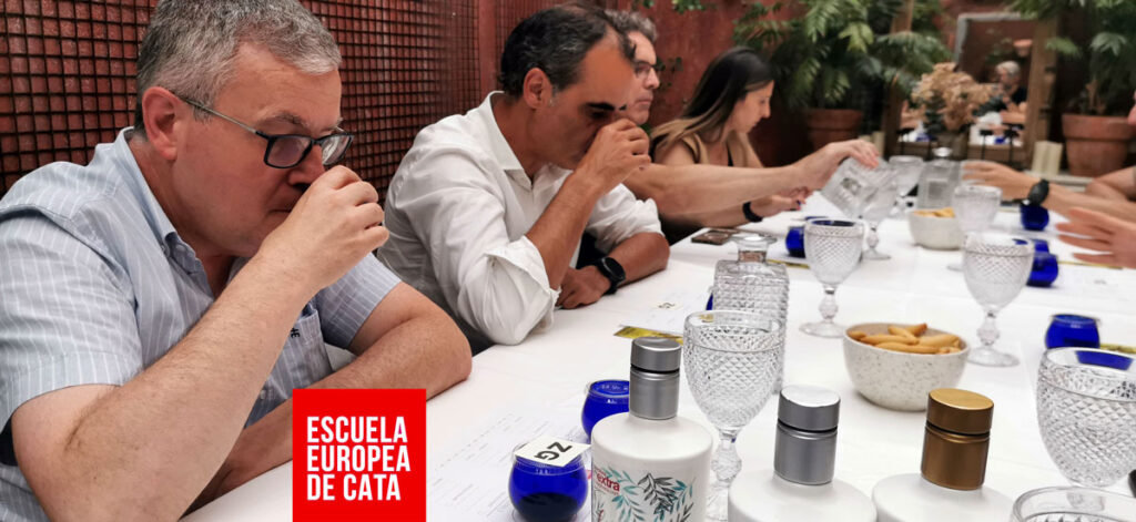 evento-cata-aceites-de-oliva-empresa-zg-1-julio-2025_4