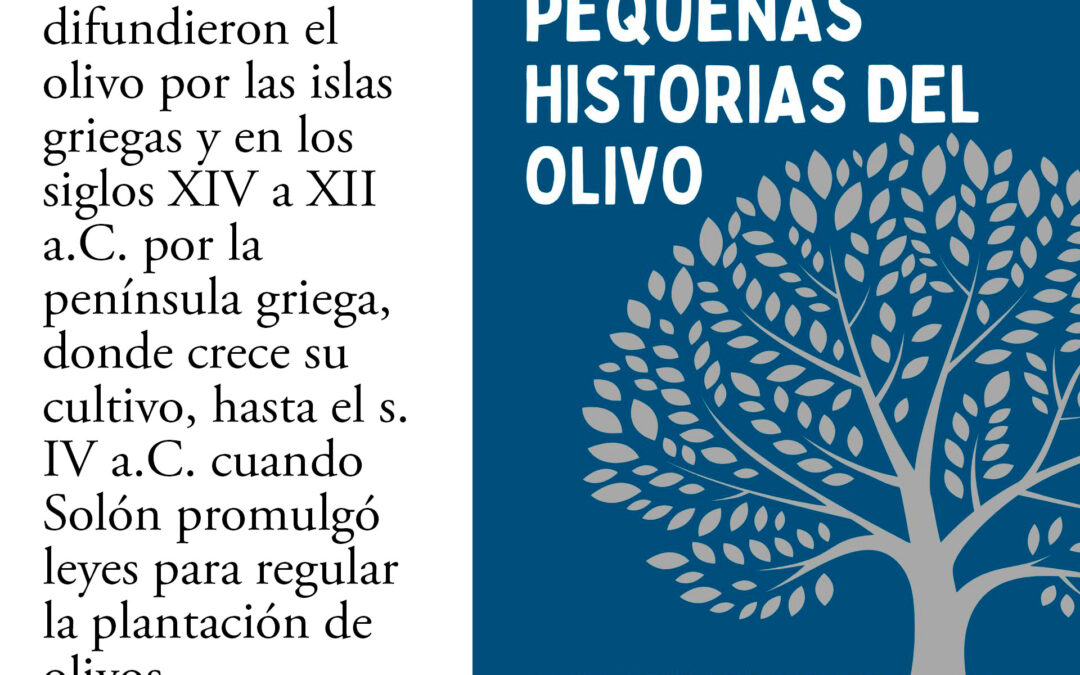 HISTORIAS-DEL-OLIVO-2