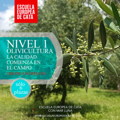 NIVEL-1--olivicultura-escuela-europea-de-cata