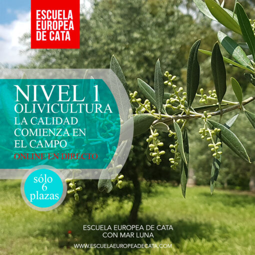 NIVEL-1--olivicultura-escuela-europea-de-cata