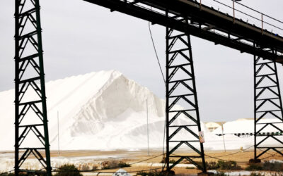 Salinas de Torrevieja. La sal, el gran aliado del AOVE